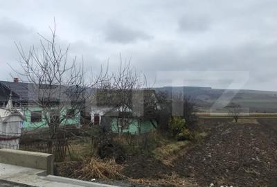 Casă cu 3 camere cu Teren 3400 Mp în Central