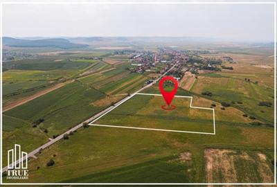 Teren extravilan de vânzare, 4.02ha - 40272m?, Gornești! - 6