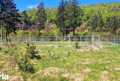 Teren de 800 mp, în Bunloc - 5