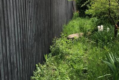 Magurele, teren, zona Cargus, 34 mp deschidere, 30 euro mp, ocazie! Magurele, teren, zona Cargus, 34 mp deschidere, 30 euro mp, ocazie! - 6