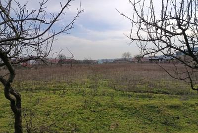 Teren Construcții intravilan de 4625 mp, în Cataloi - 5