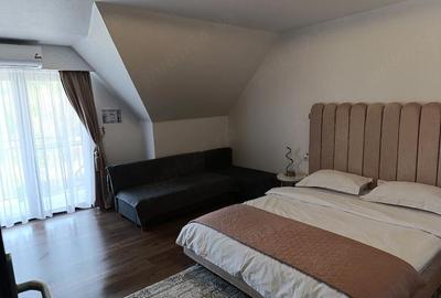 Casă cu 9 camere cu Teren 8000 Mp în Bârsana - 4