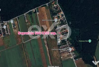Teren în Corbeanca