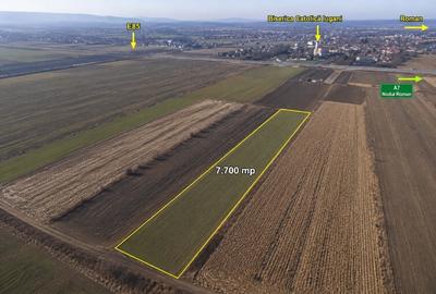 Teren agricol extravilan de 7700 mp, în Mircești - 1