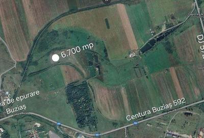 Teren de 6700 mp, în Buziaș - 1