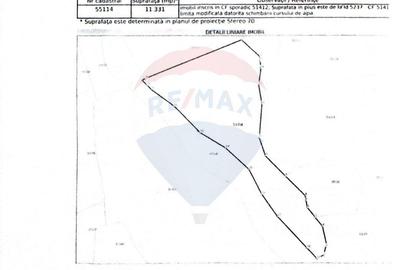 Teren de 49000 mp, în Borca - 10