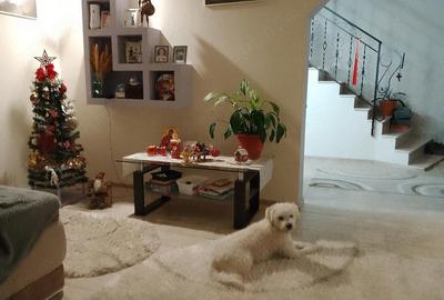 Casă cu 6 camere cu Teren 700 Mp în Albota - 1