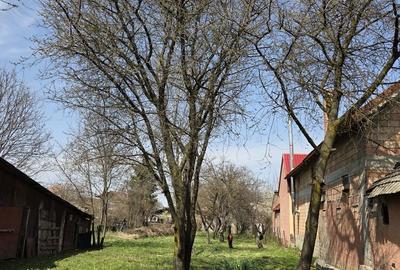 Teren de 803 mp, în Prejmer