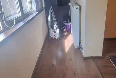 Pache Protopopesu - Ferdinand - 13