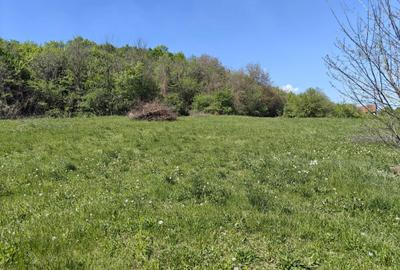 Spațiu comercial, în Curteni - 6