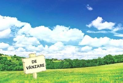 Teren de 409 mp, în Brazi - 1