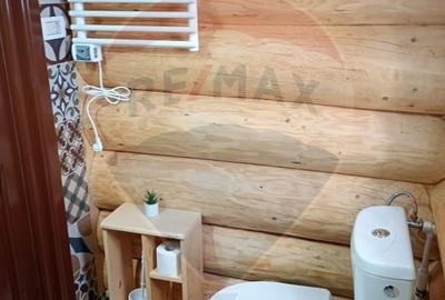 Hotel/Pensiune, de 240 mp, în Costești (Albac) - 27