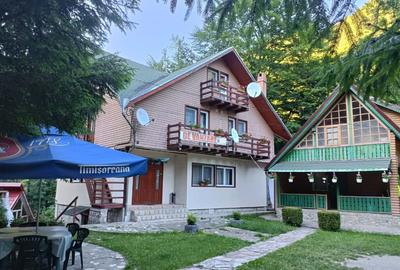 Spațiu comercial, de 450 mp, în Lepșa - 3