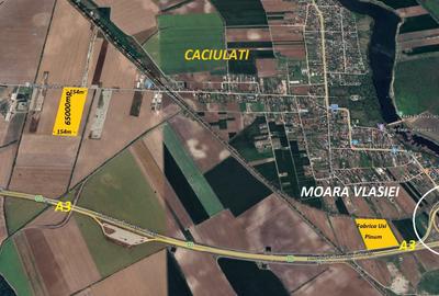 Teren Construcții intravilan de 65000 mp, în Căciulați - 1