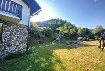 Pensiune cu 7 unitati de cazare in Apuseni judetul Alba - 3