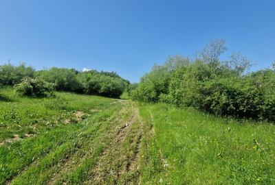 Teren intravilan – 3.101 mp, Tărlungeni, Brașov – ideal pentru casă de vacanta - 3