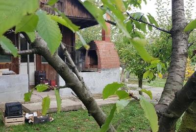 Vand casa zona Baisa - 5