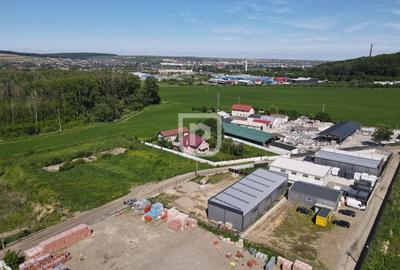 Teren Construcții intravilan de 4844 mp, în Șcheia - 5