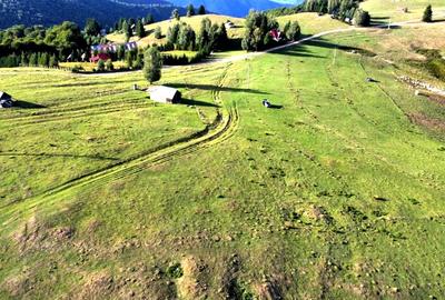 Teren Construcții intravilan de 1113 mp, în Păltiniș - 2