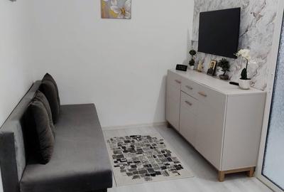 Apartament cu 2 camere nedecomandat în Satu Nou - 3