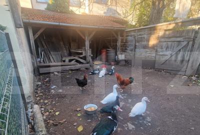 Casa de vanzare, 1360 mp teren, strada asfaltata, circulata, - 7