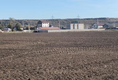 Spațiu comercial, în Proaspeți - 5