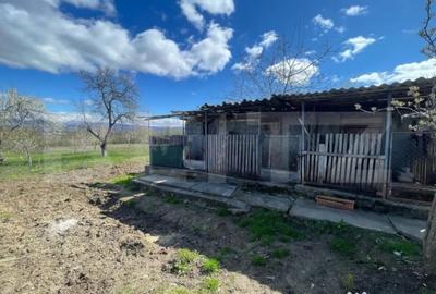 Casă cu 3 camere cu Teren 3000 Mp în Central - 15