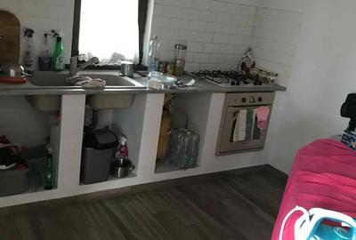 Casă cu 2 camere în Vinga - 2