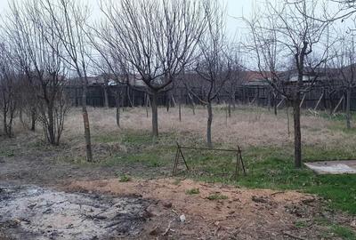 Casă cu 3 camere în Central - 4