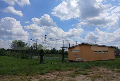 Casa superba in Tinca, 225 mp, 20 ari luciu de apa, teren fotbal, spatii verzi - 7