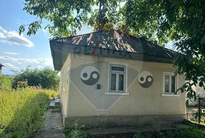 Teren intravilan 3.765 mp cu casa - Bodesti de Jos - 10