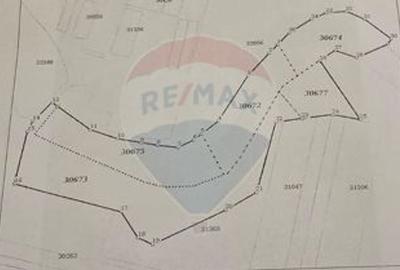 Teren extravilan de 129700 mp, în Iepurești - 15