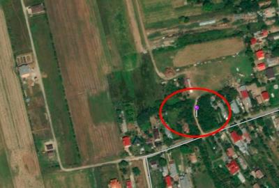 Teren Construcții intravilan de 875 mp, în Ciolpani - 3