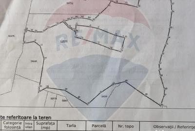 Teren de 128948 mp, în Munteni - 7
