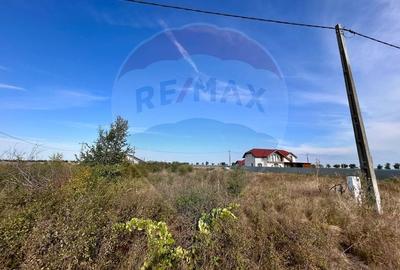 Teren 530mp intravilan de vanzare in Gepiu - 7