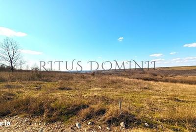 Spațiu comercial, în Central - 3