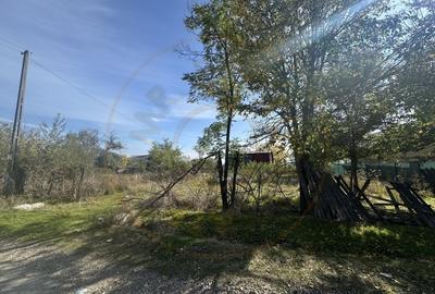 Teren 5216 mp la 2 pasi de autostrada A1 - com. Ratesti Teren 5216 mp la 2 pasi de autostrada A1 - com. Ratesti - 2