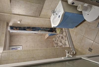 Inchiriez spa?iu firma la curte - 5