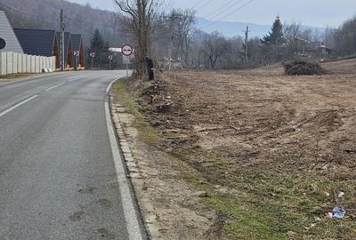 Spațiu comercial, în Eșelnița - 8