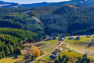 Teren de 13800 mp, în Fundățica - 16