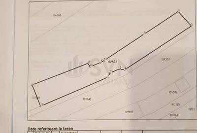 Teren intravilan 2000m Ghermanesti - 6