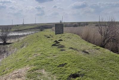 Teren de 120000 mp, în Drăgănești-Vlașca - 4