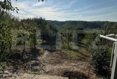 Casă cu 4 camere cu Teren 3400 Mp în Central - 5