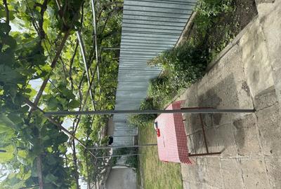 Casă cu 5 camere în Ceamurlia de Sus - 4