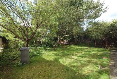 Casa cu aer nobil in Baia de Cris - 17