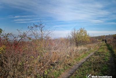 Teren de vanzare - Colonia Sopor, Cluj-Napoca - 700 mp - 4