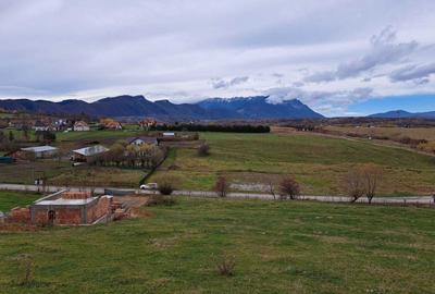 Spațiu comercial, în Central - 1