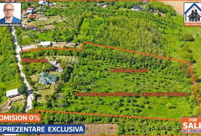 Casă individuală cu 4 camere cu Teren 10000 Mp în Podenii Vechi - 2
