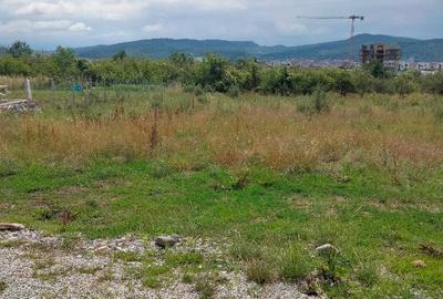 Teren intravilan Dr. D. Vechi , 1000 mp - 4