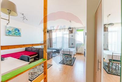 Apartament cu o camera la  Ared Kaufland - 16